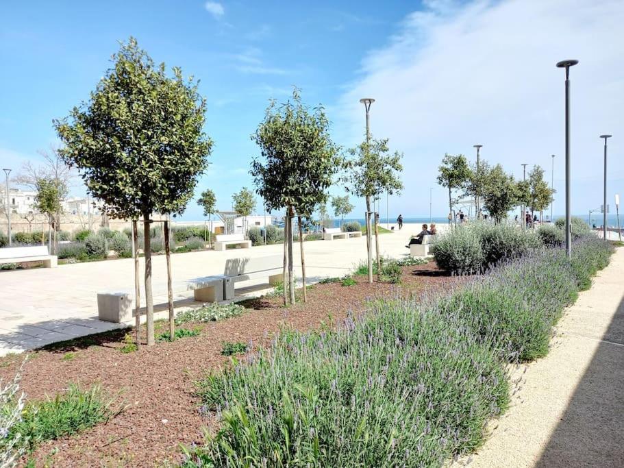 Heart In Home - Vicina Alle Spiagge Di Monopoli Zewnętrze zdjęcie
